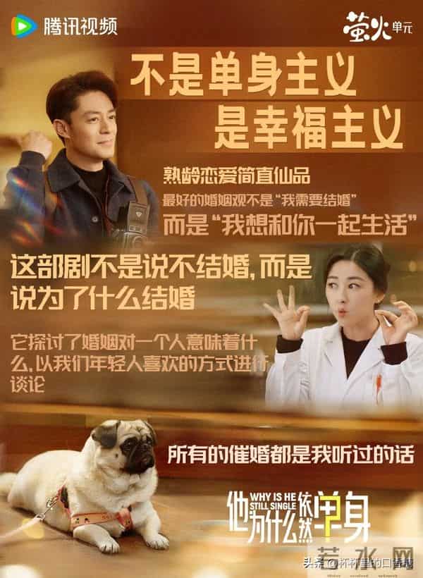 《他为什么依然单身》、《亦舞之城》热度、隐喻象征、现象级话题
