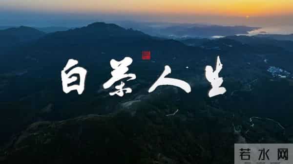 纪录电影《白茶人生》在中国电影博物馆首映