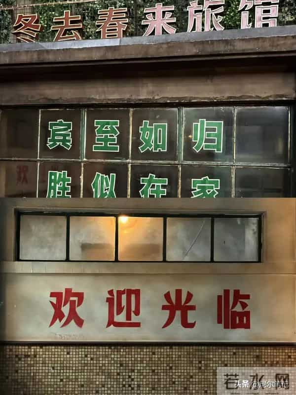 央视发文力推！3部重磅年代剧特播，《生命树》领衔，总有你的菜