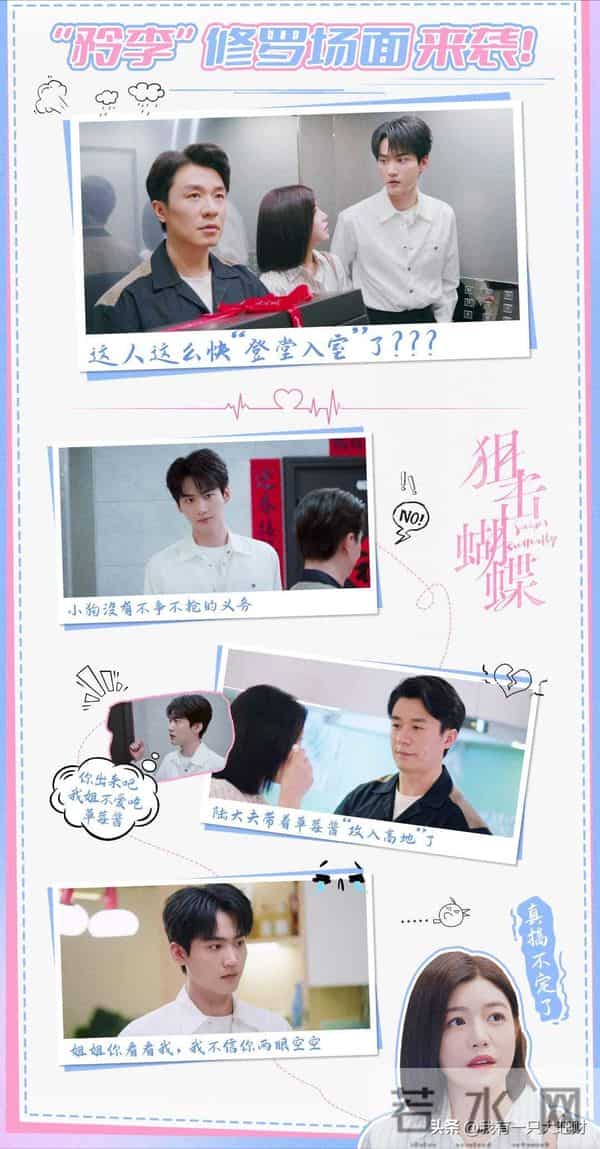 《狙击蝴蝶》为什么陆医生后来者居不上?因为李雾对岑矜又争又抢