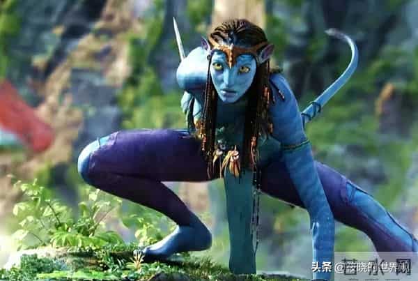 三亚红毯上有趣一幕,章子怡和导演交谈眉开眼笑,孙俪站边成陪衬