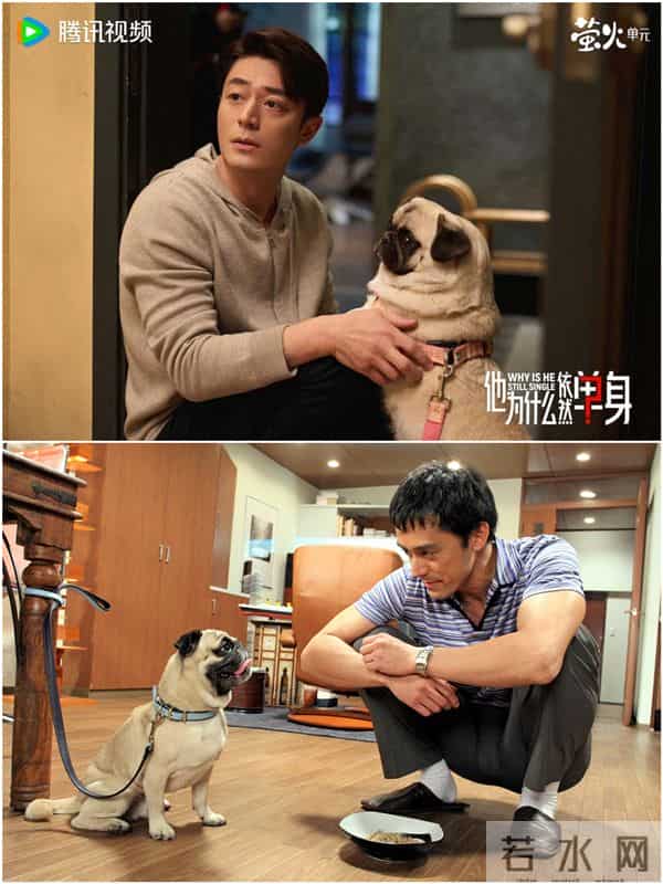 新潮观鱼:日本“不婚男人”引进中国,观众为何不买账?