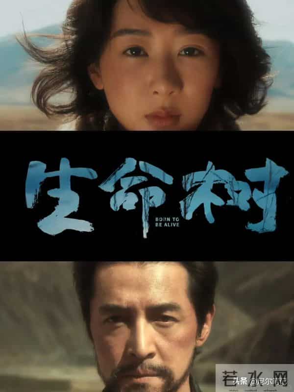 央视发文力推！3部重磅年代剧特播，《生命树》领衔，总有你的菜