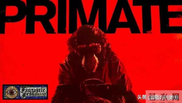 2026恐怖片扎堆厮杀，经典续作与新血混战，影迷钱包能否扛过全年