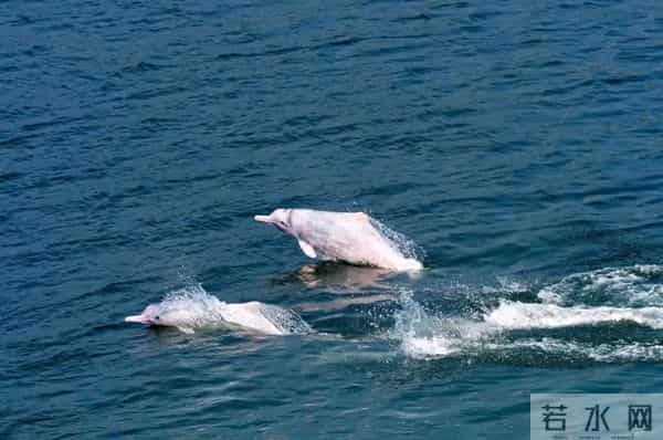 “顶流”来了!又一取景阳江的电影本周上映