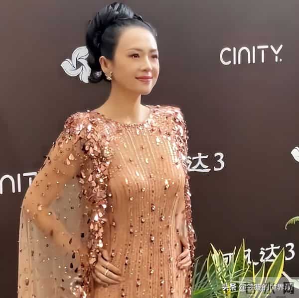 三亚红毯上有趣一幕,章子怡和导演交谈眉开眼笑,孙俪站边成陪衬