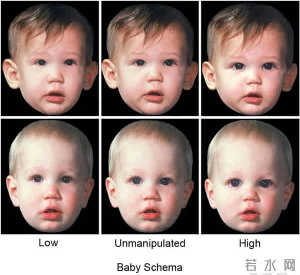 《疯狂动物城》好看的底层逻辑原来是这样!