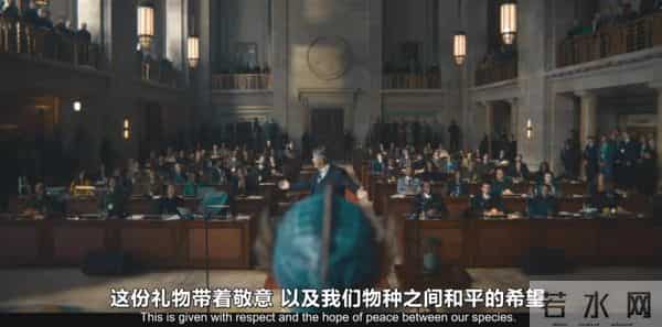 连刷两集，这部顶级IP衍生剧可以看了