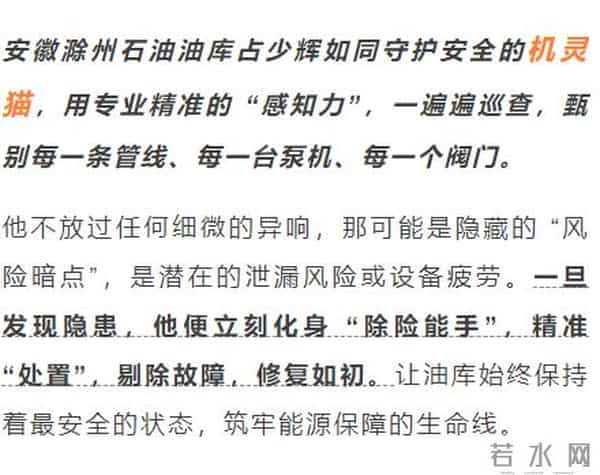 太“疯狂”了!订单排到明年了!