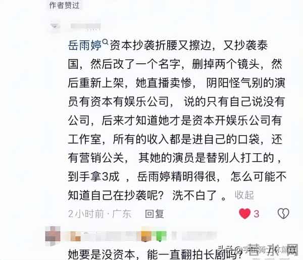 从小说女主到抄袭专业户，这次岳雨婷被扒了个彻底遭万人抵制