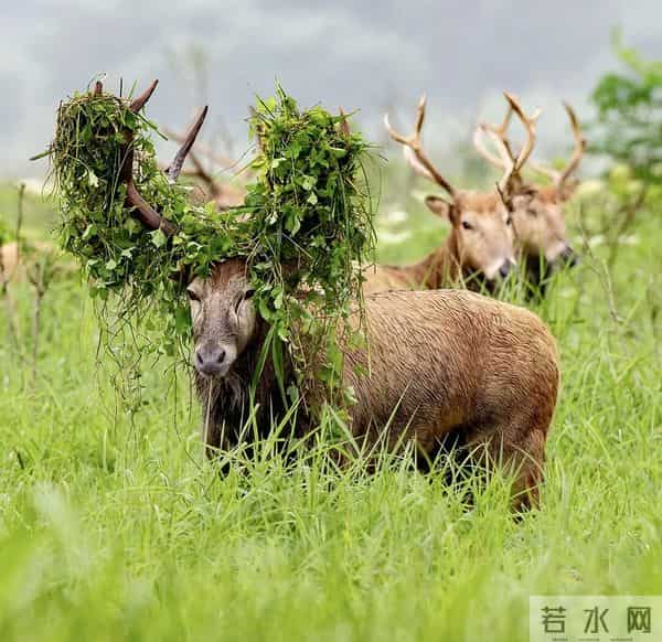 受邀亮相！这部石首取景的电影，闪耀中国国际儿童电影展
