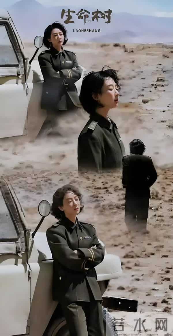 央视发文力推！3部重磅年代剧特播，《生命树》领衔，总有你的菜