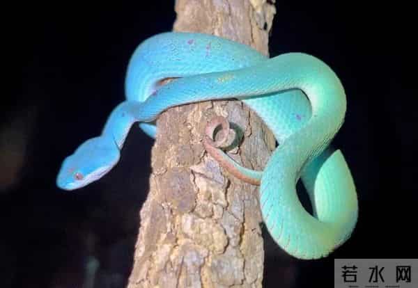 《疯狂动物城2》里居然有15个“隐藏彩蛋”,千万别错过