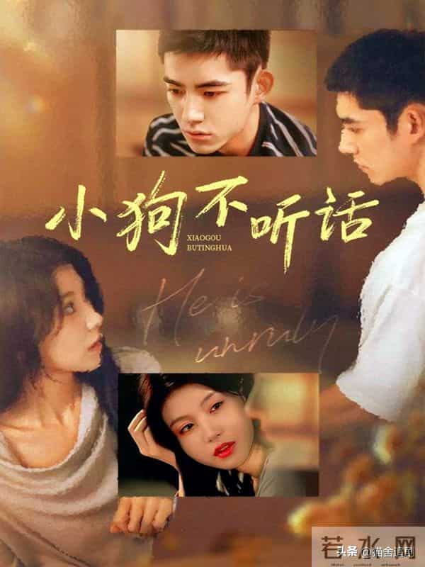 《狙击蝴蝶》不够看！这6部出圈的姐弟恋短剧也很好磕！