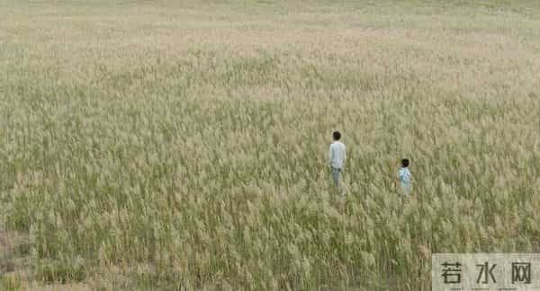 苏州|好片不错过 - 儿童版《隐入尘烟》?听听导演怎么说