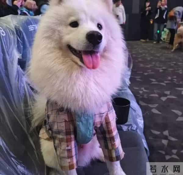 “火爆程度远超预期”!爆满,迅速售罄,有人却带头抵制,医生提醒→