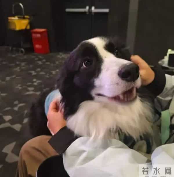 “火爆程度远超预期”!爆满,迅速售罄,有人却带头抵制,医生提醒→