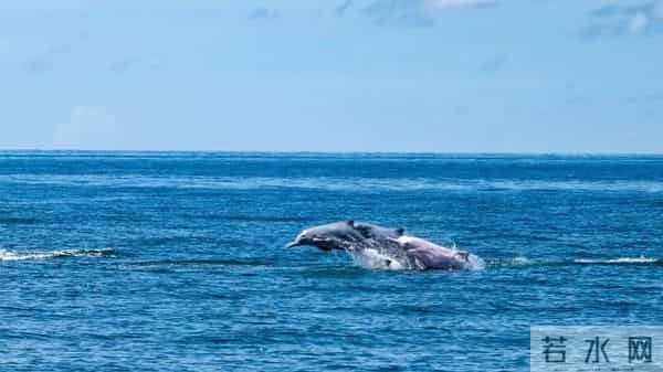 “顶流”来了!又一取景阳江的电影本周上映