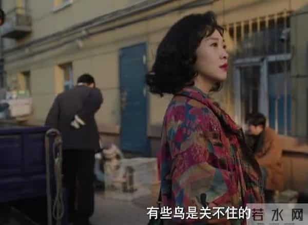 央八开播!年代喜剧《老舅》定档,看完阵容我想说:这剧要火