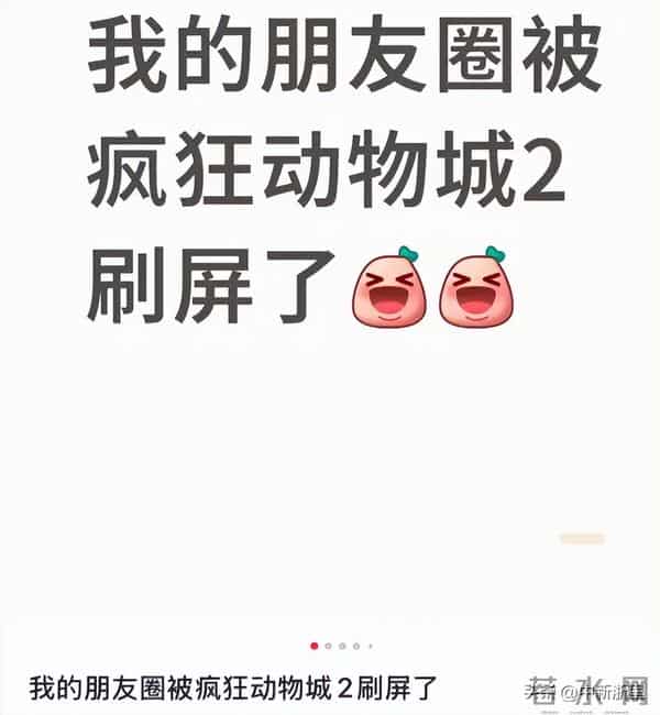 太“疯狂”!抢购一空!订单已排到明年......