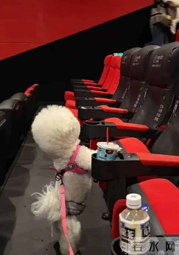 火爆远超预期！突然兴起却引发激烈争议，有人带头抵制！上海组织者现身说法，医生提醒