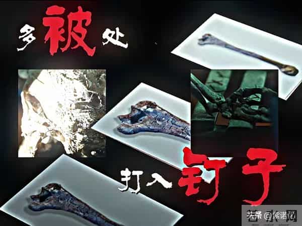 腾讯20集悬疑剧又开大!开局就上蜡像封尸、冰柜碎尸、胡同连环杀