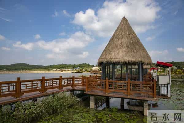 找死最快的三种方式：精神内耗，好色，懒