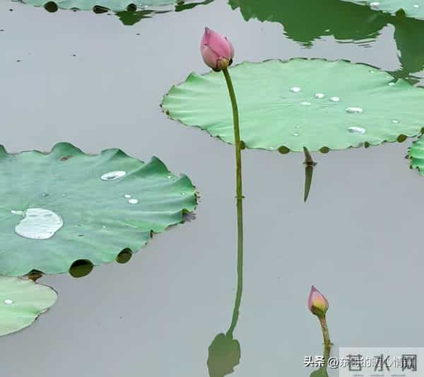 征服中年女人的真招，不在嘴皮子上，而是“距离产生美”