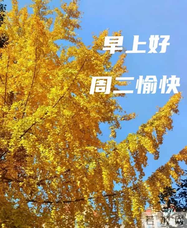 2025年12月9日早上好 早上好温馨问候祝福语 早安精美图片 周二愉快