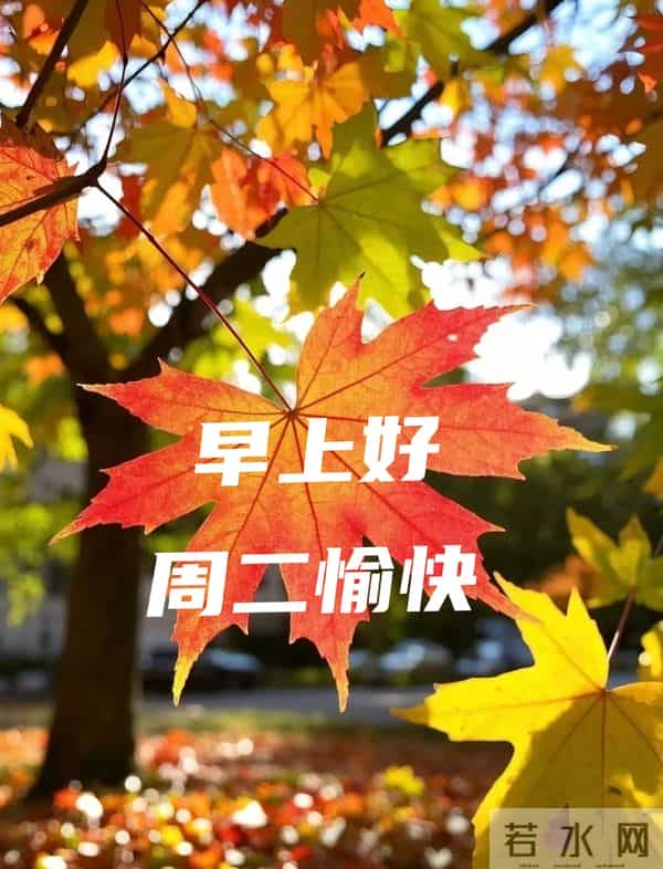 早上好温馨问候祝福语 最新早安精美图片 周二愉快的温馨图片 早上好