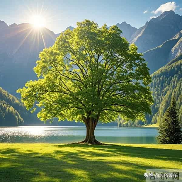 丧偶之后，在外人面前，这3句话打死不说，越沉默，越体面