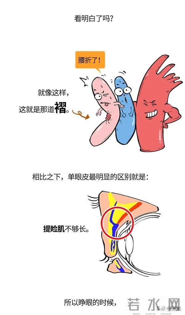 丹凤眼、桃花眼、杏仁眼…30秒自测眼型