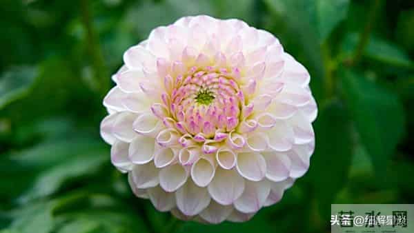 12月10日至16日,辰龙,下周开始,可能会有小事发生