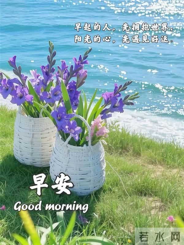 早安心语 人生从来不止一个“正确”的方向