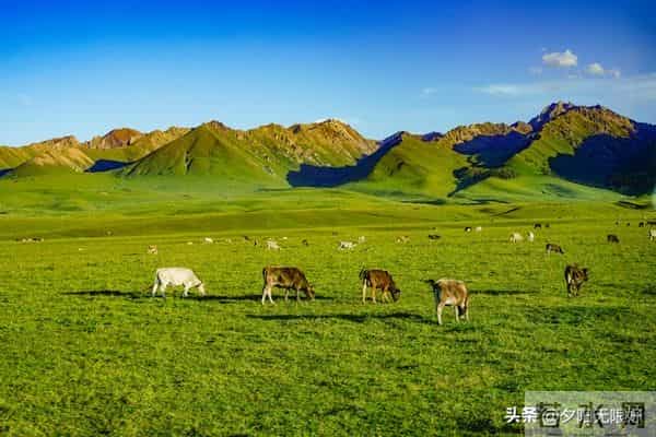 这样的异性知己,温柔陪伴却无名分,一生难遇,遇见请好好珍惜