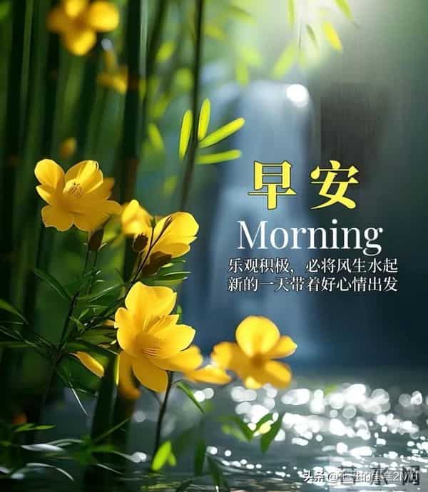早安!迎着朝阳出发带着收获回家,日子温暖,抬头遇见的皆是美好