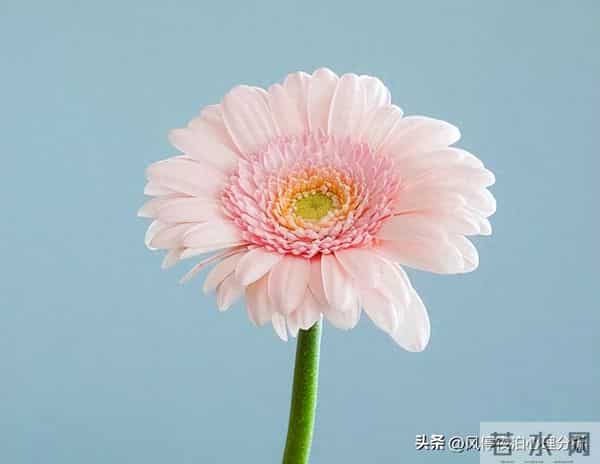 两个有家庭的人，相互暧昧已经不妥！这几件事就别做了