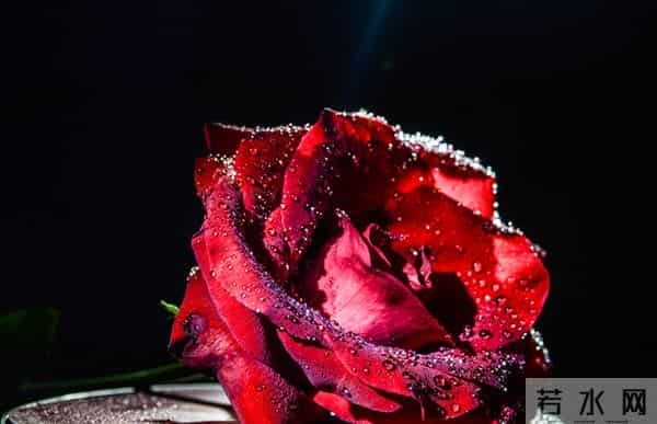 爱了半辈子，想了半辈子，等了半辈子