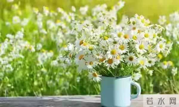 两性关系,65女人大实话,男人过了70岁,只剩下一个用处