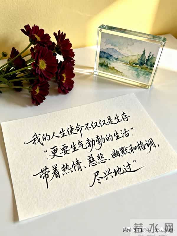 治愈文案 - 理想的生活状态：情绪自由，人身自由，财务自由