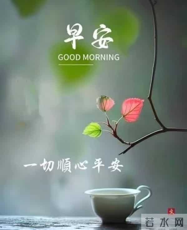 早安,予你一日好光景