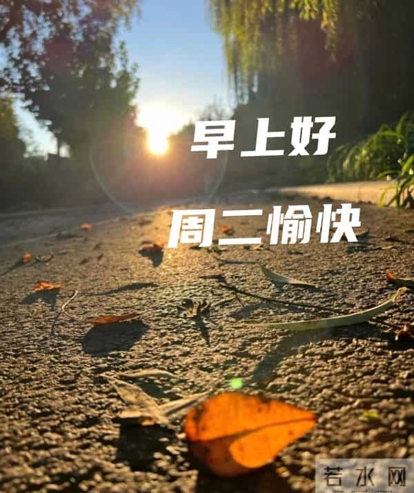 早上好温馨问候祝福语 最新早安精美图片 周二愉快的温馨图片 早上好