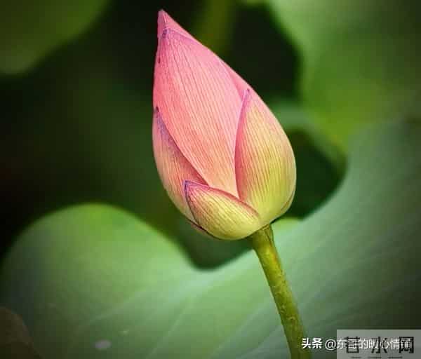 征服中年女人的真招，不在嘴皮子上，而是“距离产生美”