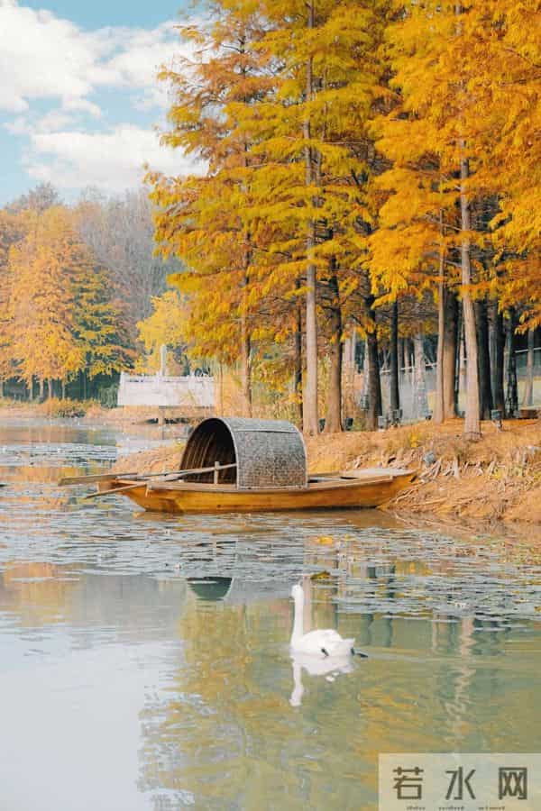 负债累累,努力活着的第七天