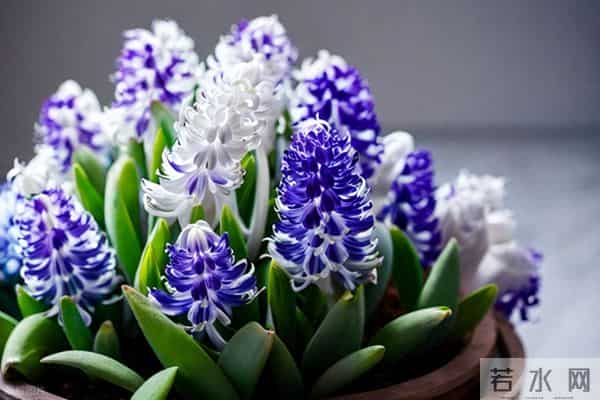 在断崖式抛弃阶段，NPD不是“变了一个人”，而是现出了本相