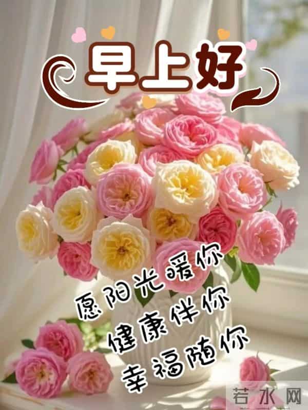 接住我的心意，愿你平安健康常伴，日日好心情！早上好！