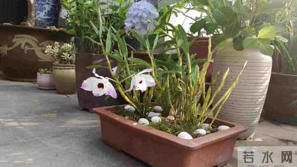 女儿不要彩礼和婚宴,我和老伴也取消陪嫁,女儿男友跟她提出分手