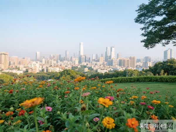 我准备了套房让我妈养老,谁知她刚住进来,我哥一家三口也来了