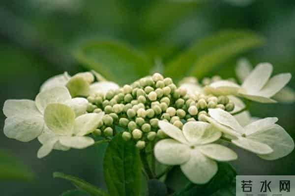 2025，最后一波好运已发货！请你签收属于你的好运！