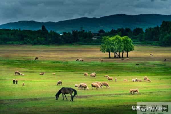 这样的异性知己,温柔陪伴却无名分,一生难遇,遇见请好好珍惜
